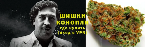 амф Бородино