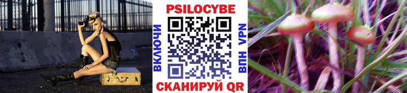 Псилоцибиновые грибы Psilocybine cubensis  Павловский Посад 